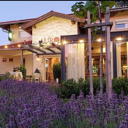 Aurora Panzio Bed and Breakfast Bük Exteriör bild