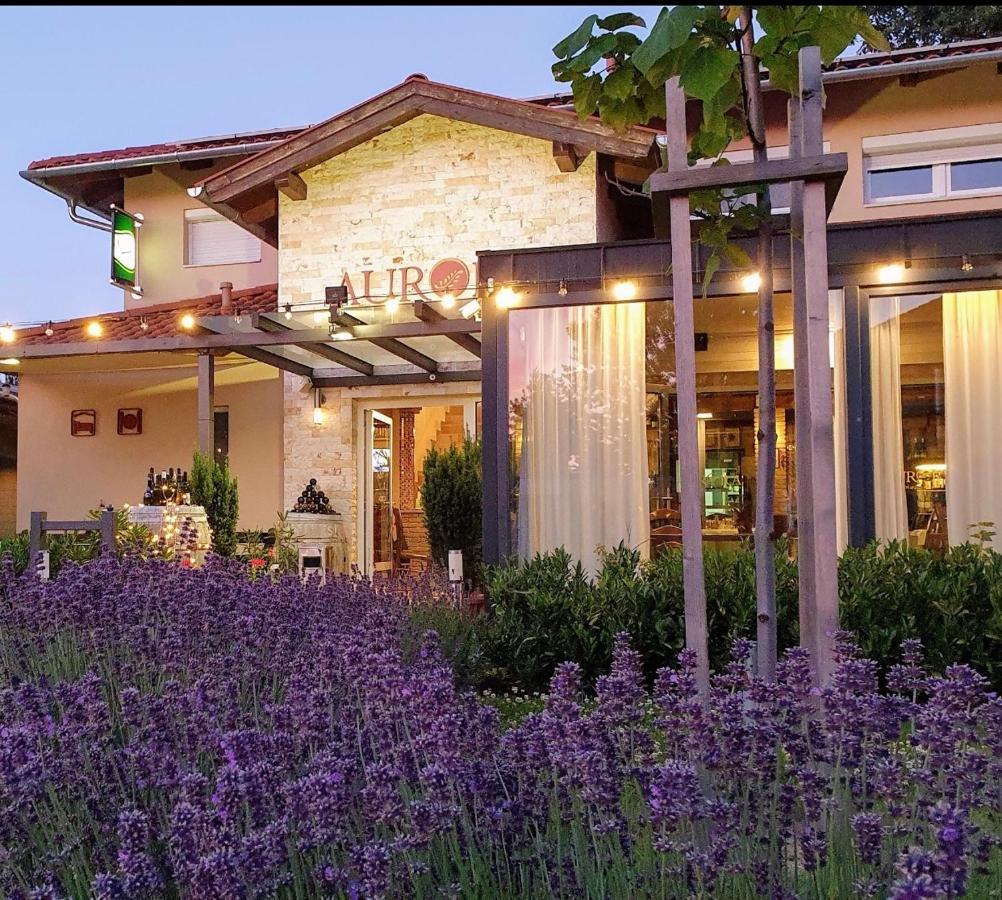Aurora Panzio Bed and Breakfast Bük Exteriör bild